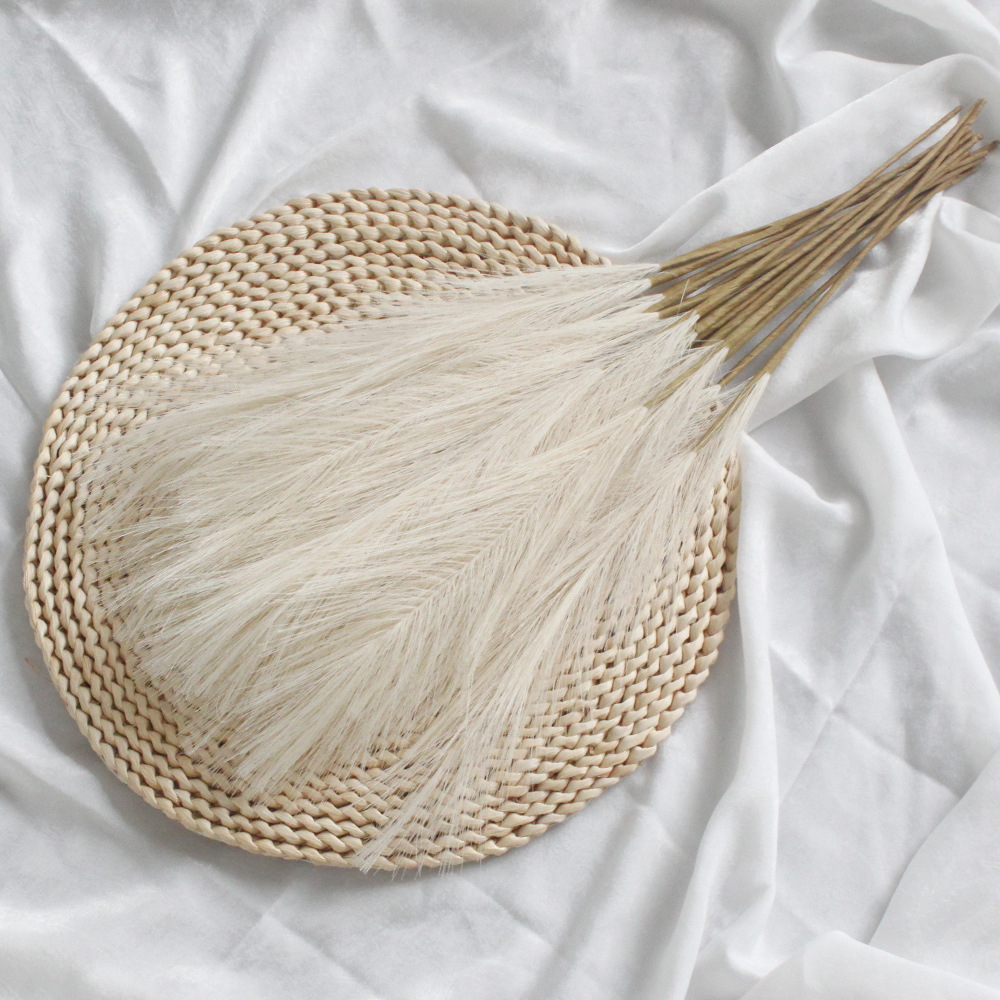 Elvor Pampas Grass
