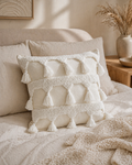 AERA Cushion