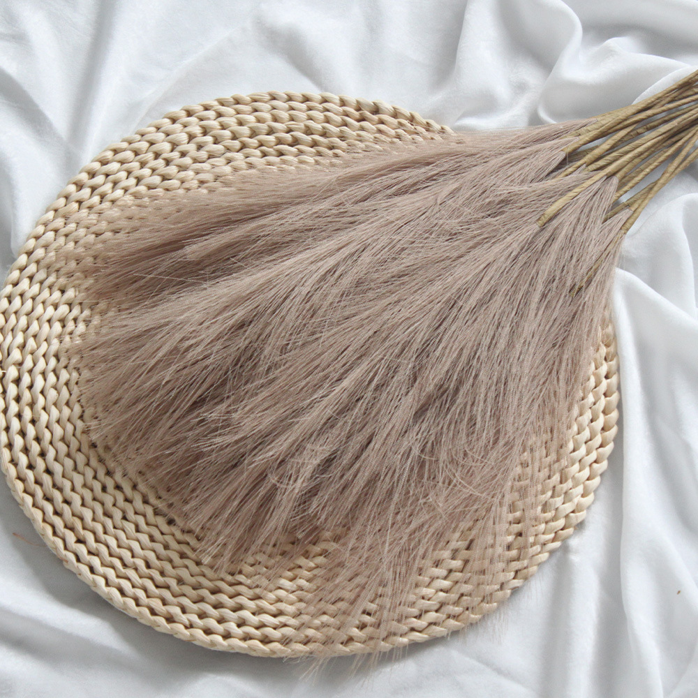 Elvor Pampas Grass